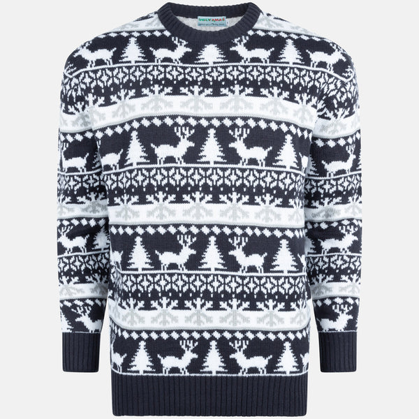 Weihnachtspullover Modernes Blau & Weiß