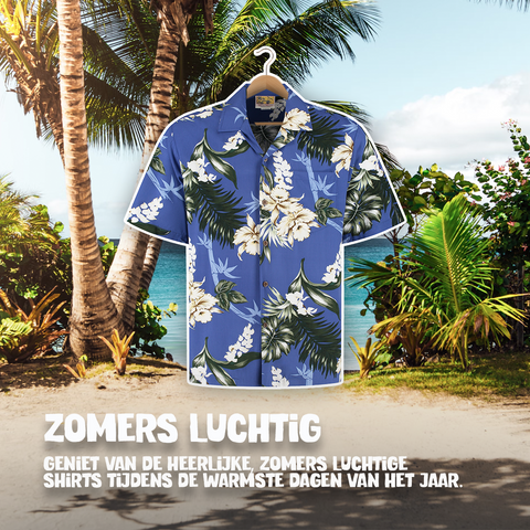 Lanikai Blauw